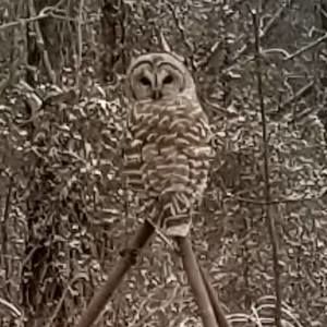 Meet your Posher, Stephen